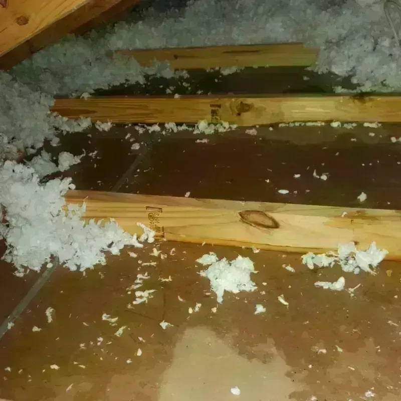 Attic Water Damage in White Castle, LA